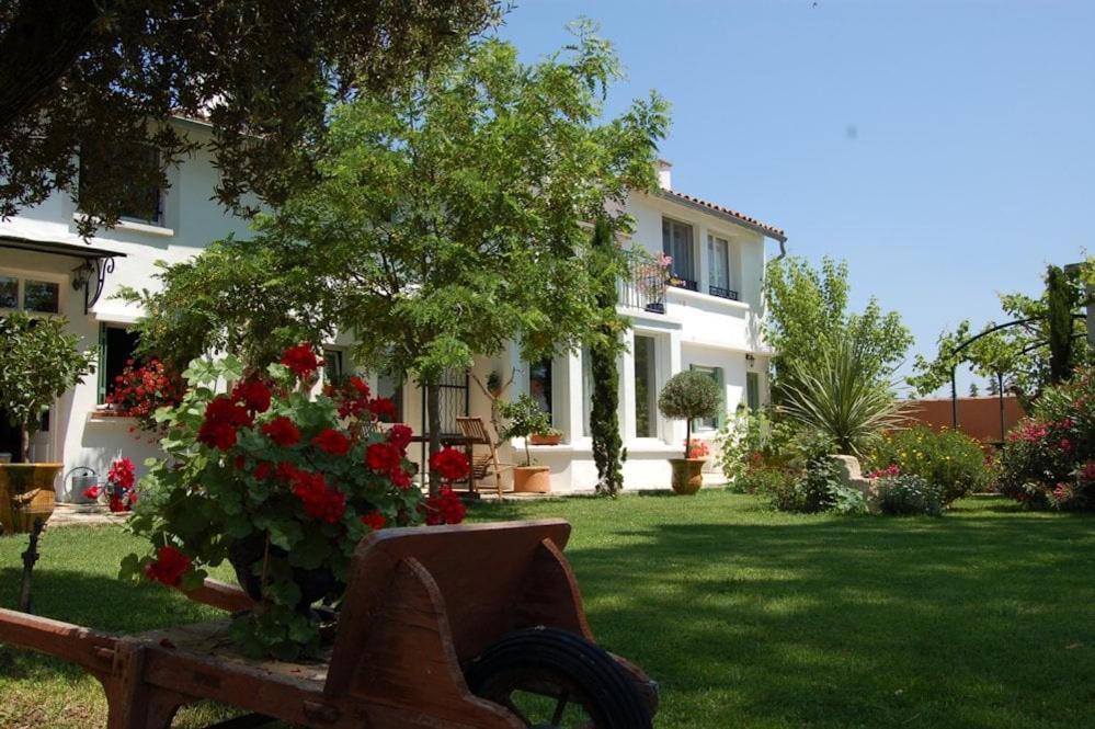 Chambre Seville - Mas Saint-Louis - Piscine Chauffee Aigues-Mortes Exterior foto